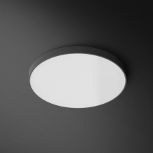 Потолочный светильник DISC COLOR D60 Grey