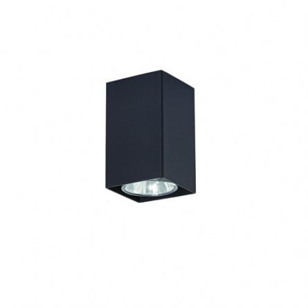Точечный светильник Nero 499/G фото 1